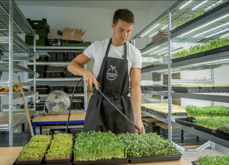 We use locally sourced Microgreens at our catering events